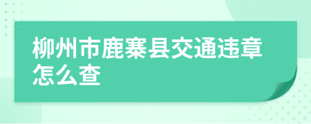 柳州市鹿寨县交通违章怎么查