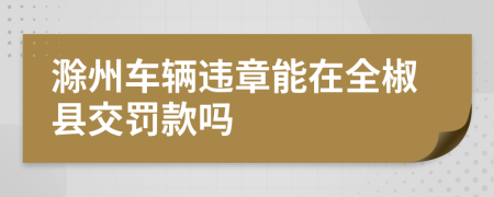 滁州车辆违章能在全椒县交罚款吗