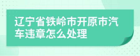 辽宁省铁岭市开原市汽车违章怎么处理