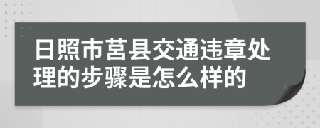 日照市莒县交通违章处理的步骤是怎么样的