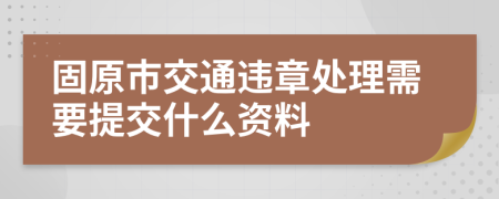 固原市交通违章处理需要提交什么资料