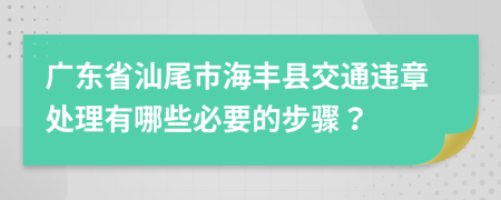 广东省汕尾市海丰县交通违章处理有哪些必要的步骤？