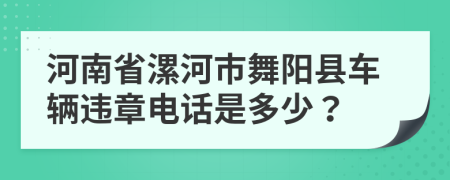 河南省漯河市舞阳县车辆违章电话是多少？