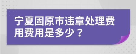 宁夏固原市违章处理费用费用是多少？