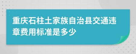 重庆石柱土家族自治县交通违章费用标准是多少