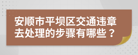 安顺市平坝区交通违章去处理的步骤有哪些？