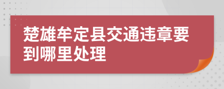 楚雄牟定县交通违章要到哪里处理