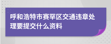呼和浩特市赛罕区交通违章处理要提交什么资料