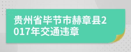 贵州省毕节市赫章县2017年交通违章