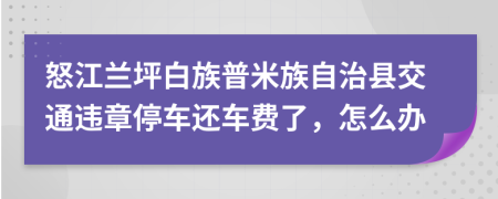 怒江兰坪白族普米族自治县交通违章停车还车费了，怎么办