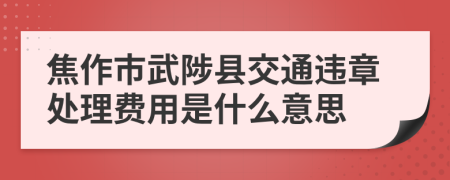 焦作市武陟县交通违章处理费用是什么意思