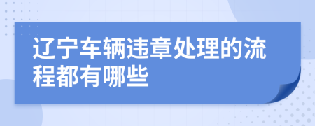 辽宁车辆违章处理的流程都有哪些