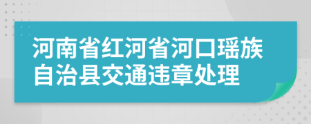 河南省红河省河口瑶族自治县交通违章处理