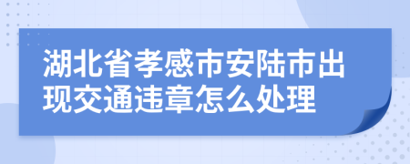 湖北省孝感市安陆市出现交通违章怎么处理