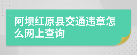 阿坝红原县交通违章怎么网上查询