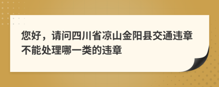 您好，请问四川省凉山金阳县交通违章不能处理哪一类的违章
