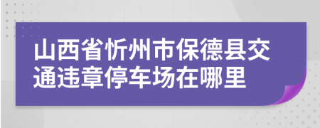 山西省忻州市保德县交通违章停车场在哪里