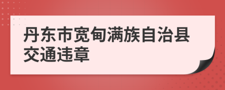 丹东市宽甸满族自治县交通违章