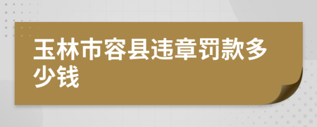 玉林市容县违章罚款多少钱