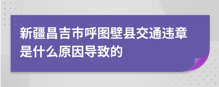 新疆昌吉市呼图壁县交通违章是什么原因导致的