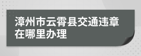 漳州市云霄县交通违章在哪里办理