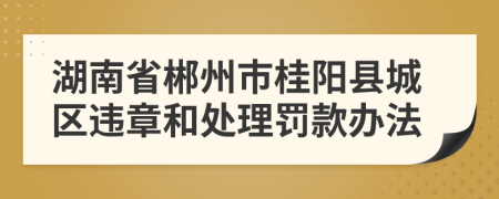 湖南省郴州市桂阳县城区违章和处理罚款办法