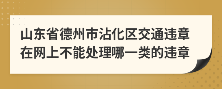 山东省德州市沾化区交通违章在网上不能处理哪一类的违章