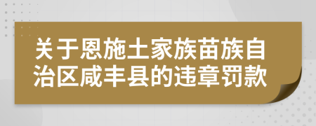关于恩施土家族苗族自治区咸丰县的违章罚款