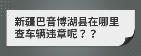 新疆巴音博湖县在哪里查车辆违章呢？？