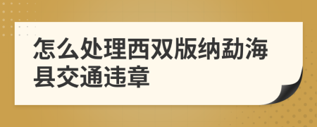 怎么处理西双版纳勐海县交通违章