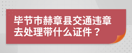 毕节市赫章县交通违章去处理带什么证件？