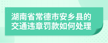 湖南省常德市安乡县的交通违章罚款如何处理