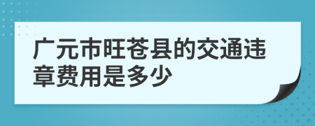 广元市旺苍县的交通违章费用是多少
