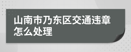 山南市乃东区交通违章怎么处理