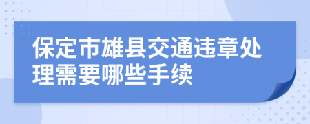 保定市雄县交通违章处理需要哪些手续