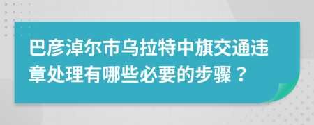 巴彦淖尔市乌拉特中旗交通违章处理有哪些必要的步骤？