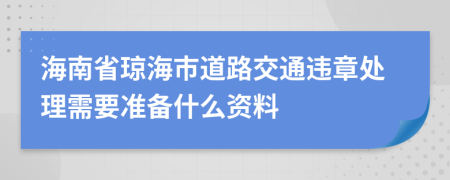 海南省琼海市道路交通违章处理需要准备什么资料