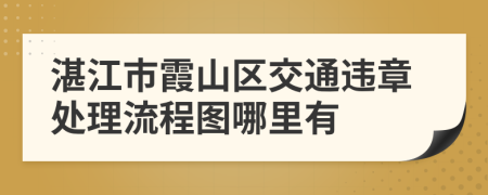 湛江市霞山区交通违章处理流程图哪里有