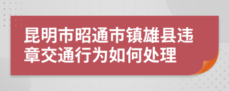 昆明市昭通市镇雄县违章交通行为如何处理