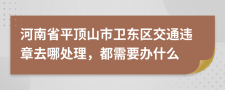 河南省平顶山市卫东区交通违章去哪处理，都需要办什么