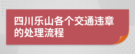 四川乐山各个交通违章的处理流程