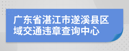 广东省湛江市遂溪县区域交通违章查询中心