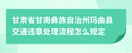 甘肃省甘南彝族自治州玛曲县交通违章处理流程怎么规定