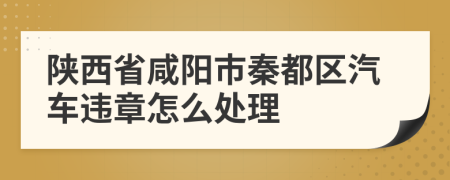 陕西省咸阳市秦都区汽车违章怎么处理