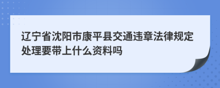 辽宁省沈阳市康平县交通违章法律规定处理要带上什么资料吗