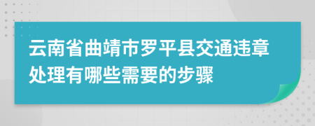 云南省曲靖市罗平县交通违章处理有哪些需要的步骤