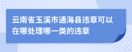 云南省玉溪市通海县违章可以在哪处理哪一类的违章