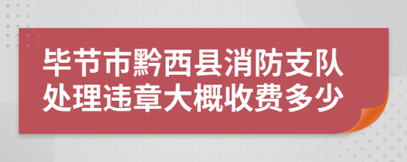 毕节市黔西县消防支队处理违章大概收费多少