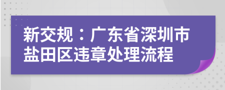 新交规：广东省深圳市盐田区违章处理流程