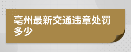 亳州最新交通违章处罚多少